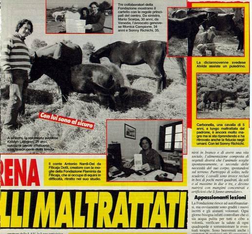 cavallisalvati 3
